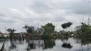 🔴 Live Mancing danau gratis