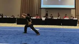 Wushu Hub Singapore Traditional Wushu Competition - She Mao He Hun Xing Quan 蛇猫鹤混形拳