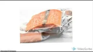 Individual Project China Fishery