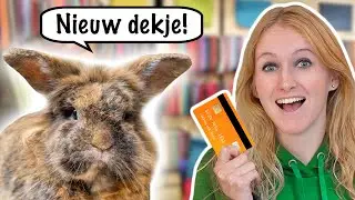 Mijn KONIJN bepaalt welke PAARDENSPULLEN ik koop! 🐰🎁