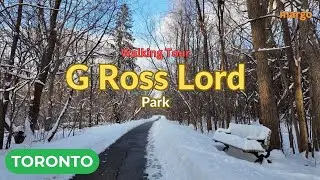 4K Snow Walking Tour in Toronto G Ross Lord Park, Winter Walk, Walk in the park, Canada Feb 13, 2025