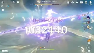 C0 Eula 1 Million Damage One | Raiden Shogun Boss
