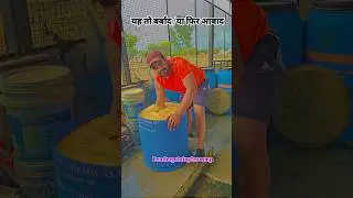 💯cow dairy farm in india,dairy farm management channel,how to start dairy farm,#cow #farm#farming
