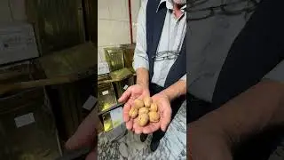 Maraş Cevizi