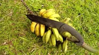 Лучший бюджетный нож: обзор Schrade SCHF 43 Jessica X