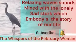 2021/ Relaxing waves sounds  mixed with the lonely sad stork  which embody&rsquo;s our life