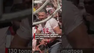 The Spanish Town Of Bunol Hosts Food Fight