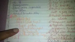 AUDIT SA 260 Revision