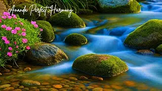 Night Meditation Before Sleep | Peaceful Piano & Ambient Classical Music