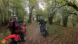 Conwy Valley Capers 25-10-25
