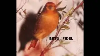 CD canto Jilguero BETO FIDEL