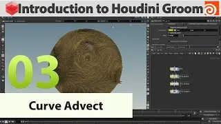 03 &mdash; Введение в Houdini Groom &mdash; Curve Advect