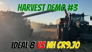 Harvest Demo #3 - Fendt Ideal, Two 1038's and Two Class 7 NH's