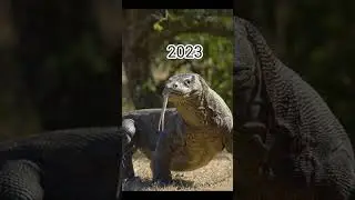 2023 Komodo dragon and 5000bce komodo dragon||mythical biology|| #shortvideo