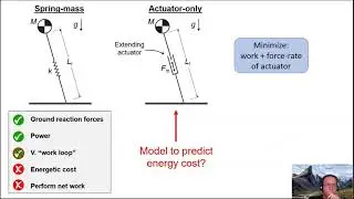Passive loss and active cost in the spring-mass model of running by Dr  Ryan Schroeder