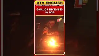 Dense Fog And Cold Wave In Gwalior, Madhya Pradesh