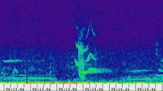 GR01 Soundscape