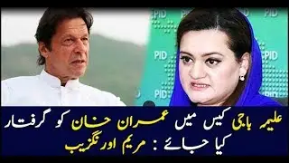 Imran Khan should be arrested in Aleema Khan's case: Mariyam Aurangzaib