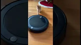 He&rsquo;s saving us from the machine uprising 😼