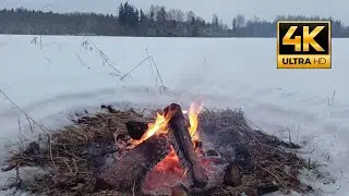 Relaxing Winter Campfire 🔥 Snowy Fire Sounds for Sleep | No Music (1 Hour)