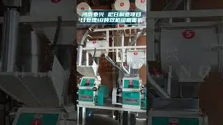 🌾 Success in Nigeria: 10 TPD Wheat Milling Plant with Auto-Packing!