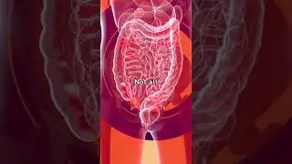 Metabolic Mastery: Tips for Healthy Weight Management #shorts