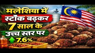 मलेशिया में स्टॉक बढ़कर 7 साल के उच्च स्तर पर #palmoil #soyabean #mustard #edibleoil #kissan #mandi