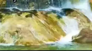 Grampa  Falls  Trinityville St Thomas  Visit Him Fe U Shower Bath +1 (876) 891-0389