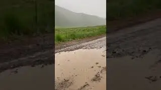 ASMR puddle
