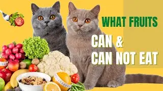 10 Fruits and Vegetables Cats Can't Eat