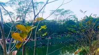 আসসালামু আলাইকুম শুভ সকাল প্রিয় ভাই বন্ধুরা | সবাই কেমন আছেন | awal raja tv | Abdul Awal Himel |