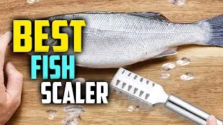 Best Fish Scaler 2025 - Fish Cleaning Tools 2025