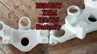 Vlog. 8 How to Repaint XRM Butterfly