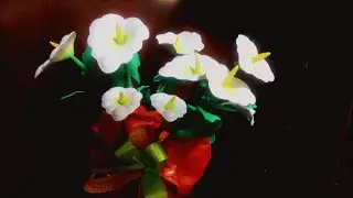 Como hacer anturios fomi ( how to make fomi anthuriums)