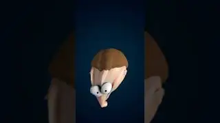 The face do rat