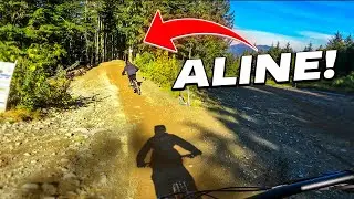 Can The Average Joe Clear A-line?