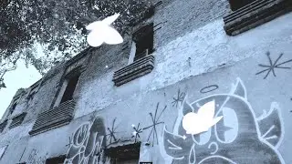 JOHNNY NITRO - FLVCKKA / Mikebøi