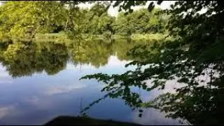 Walk Around Stanton Park (Vlog)