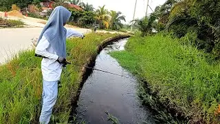 TERNYATA MASIH ADA PREDATOR GANAS DI TENGAH KOTA PEKANBARU RIAU