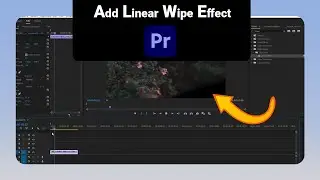 How to Add Linear Wipe Effect on Premiere Pro [NEW]