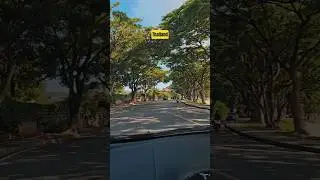 Driving in Paradise 🌴🚘 | Koh Samui Lake Road Thailand