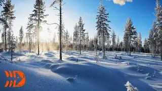 Rovaniemi - Home of Arctic Rally Finland 2021