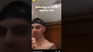 gallagher e traffik dissano elia