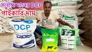 সর্বোচ্চ মানের DCP ফিড উপকরণ | গবাদি পশুর খাদ্যে উপকারিতা ও পাইকারি দাম