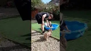 RoRo playdate at Nanna's 4th April 2021 ..(4)