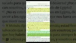 El Dios de Israel Divide el Mar Rojo #trending #video #viralvideo #shorts #short #viralshorts #jesus