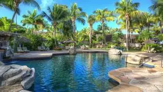 Freeform Swimming Pool Gallery - VizX Design Studios - (331) 213-9866