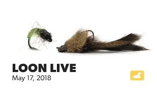 Loon Live - May 17, 2018