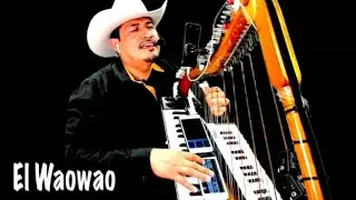 El Waowao 