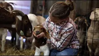 Estie Grimm's Goat Project!
